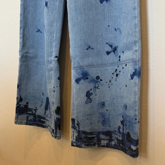 Pilcro Light Blue Flare Jeans with Dark Blue Accents - Picture 4 of 8
